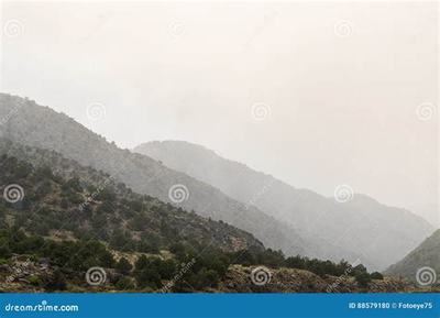 代理游戲軟件的市場(chǎng)機(jī)遇與技術(shù)推廣策略——以盟諾手游代理為例